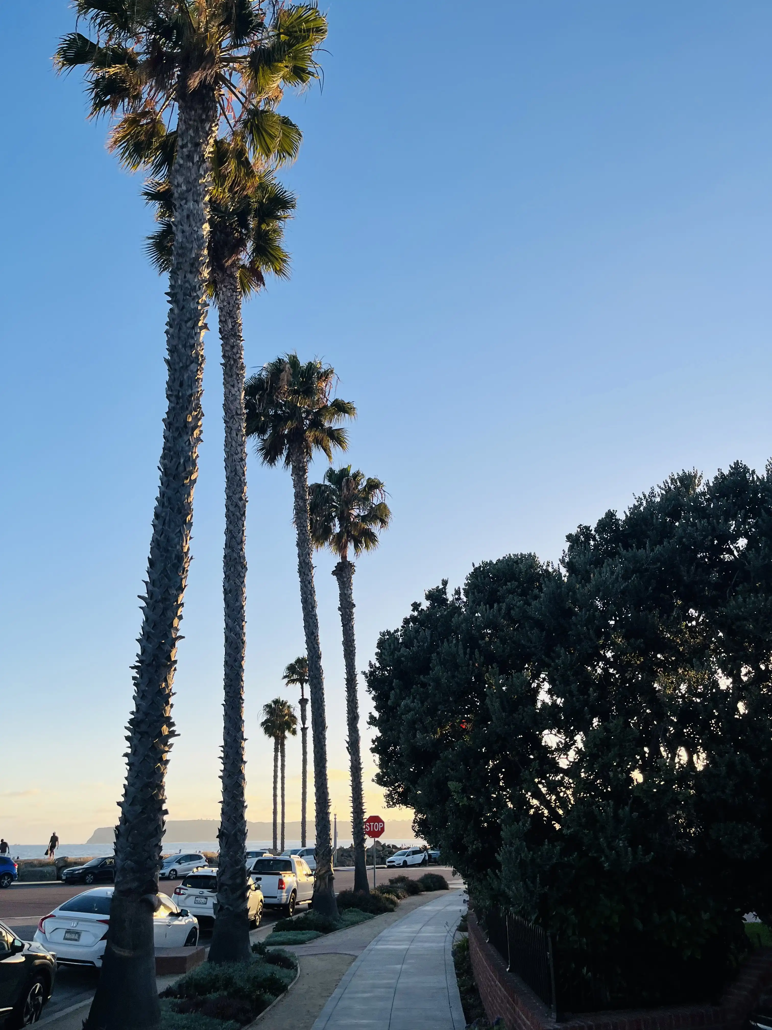 San Diego album preview
